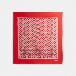 COACH® Vintage Signature Print Silk Square Sal Damske Červené | SKHAM656